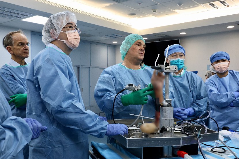 HK Wrist Course 2024 - Workshops  - 187 of 241